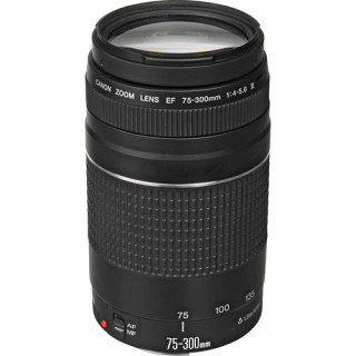 Canon 6473A015 - EF75-300mm f/4-5.6 III