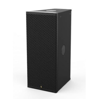ADAMSON IS10p - 100° x 50° - IS-Series Loudspeaker, Black