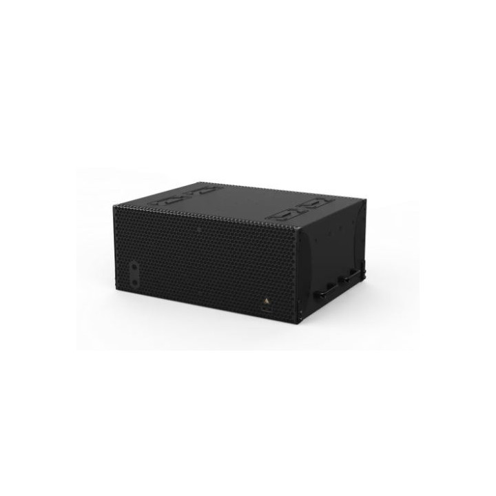 ADAMSON IS213b - IS-Series Loudspeaker, Black