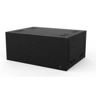 ADAMSON IS219 - IS-Series Loudspeaker, Black