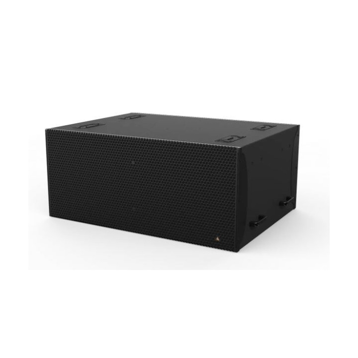 ADAMSON IS219b - IS-Series Loudspeaker, Black