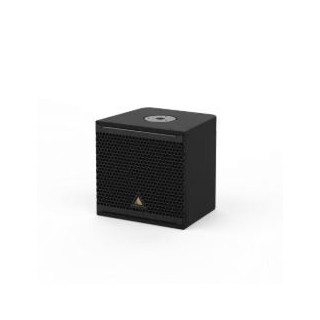 ADAMSON IS5c - IS-Series Loudspeaker, Black
