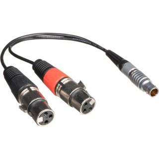 Atomos ATOMCAB017 - XLR Breakout Cable (input only)