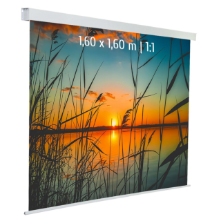 Kimex 042-3621 - Motorized Projection Screen 1.60x1.60m 1: 1