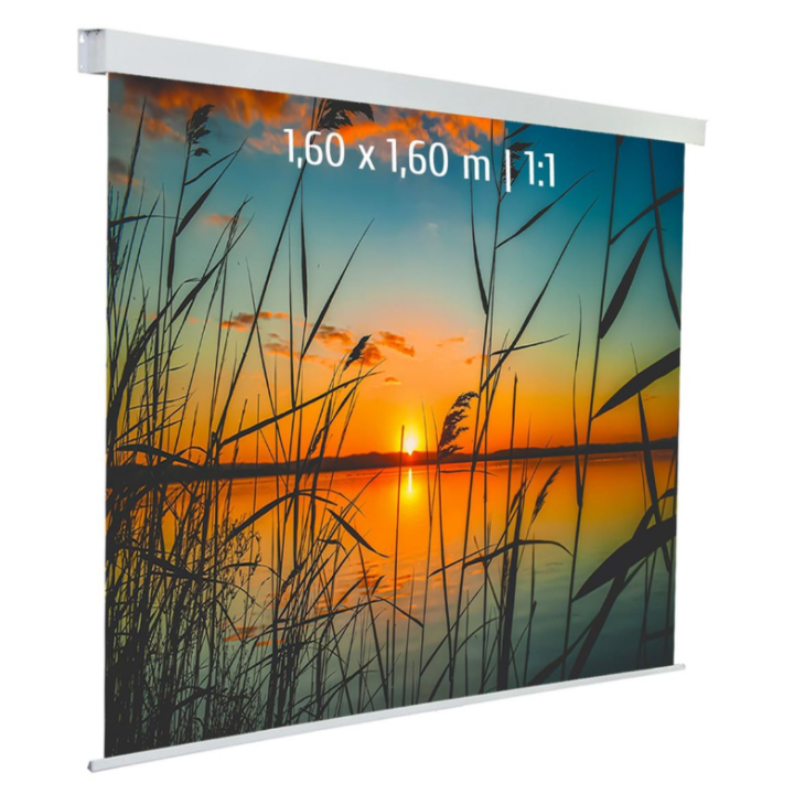 Kimex 042-3621 - Motorized Projection Screen 1.60x1.60m 1: 1