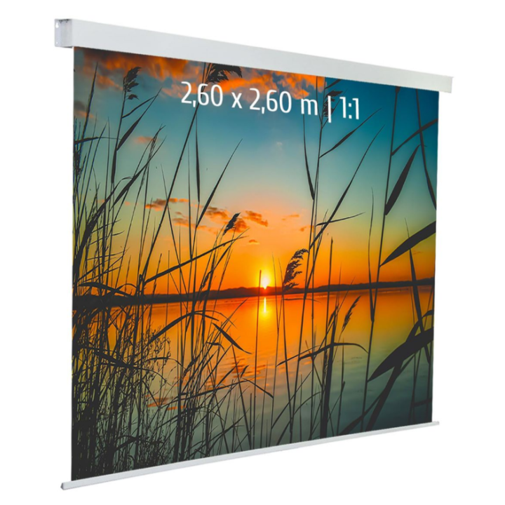 Kimex 042-3626 - Motorized Projection Screen 2.60x2.60m 1: 1