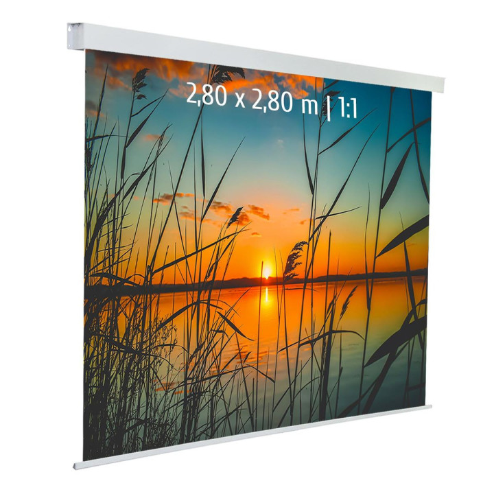 Kimex 042-3627 - Motorized Projection Screen 2.80x2.80m 1: 1