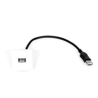 Kimex 066-0002 - 45x45mm USB Type A Faceplate + 0.2m Cable