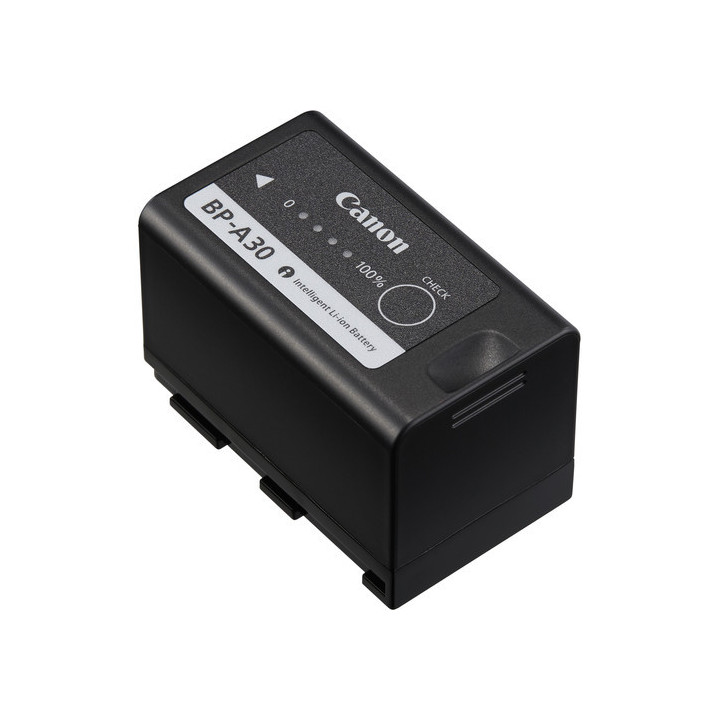 Canon 0868C002 - BP-A30 Battery Pack