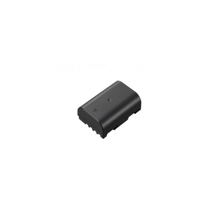 Panasonic DMW-BLF19E - Rechargeable Lithium-ion Battery
