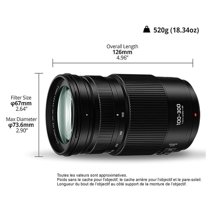 Panasonic H-FSA100300E - Lumix G 100-300mm F4-5.6