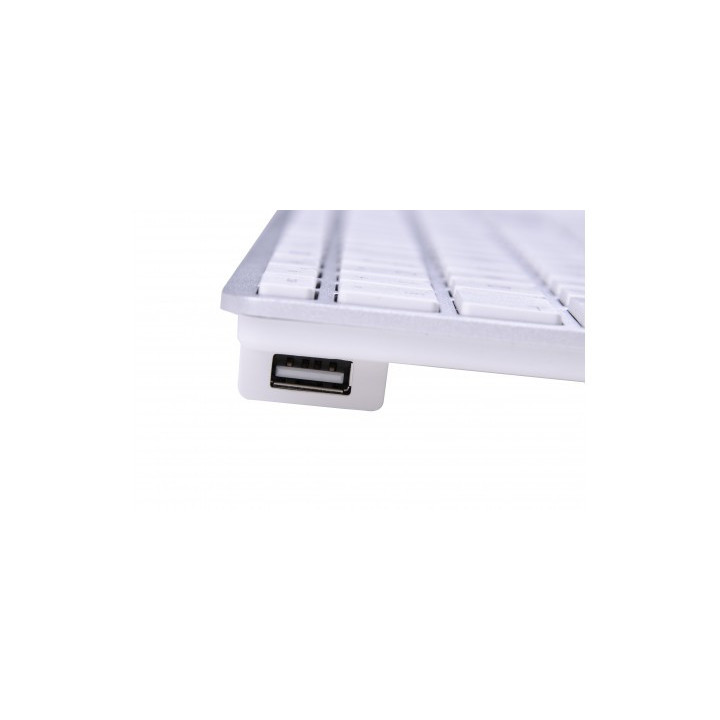 LMP KB GR si - USB Keyboard KB-1243 with Numeric Keypad