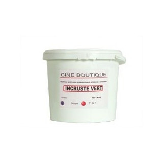 Cineboutique A-PEINTVEI4 - Acrylic paint 4kg-green key