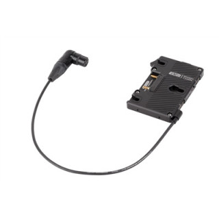 Wooden Camera WC-260300 - WC Pro Gold Mount (4pin XLR Right Angle)