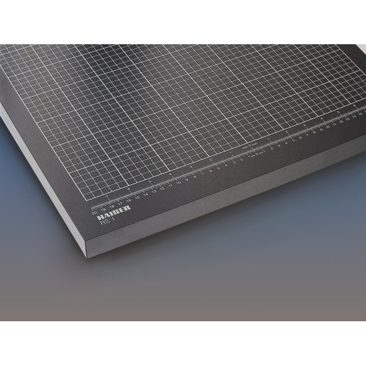 Kaiser K5511 - RS 1 Camera Stand