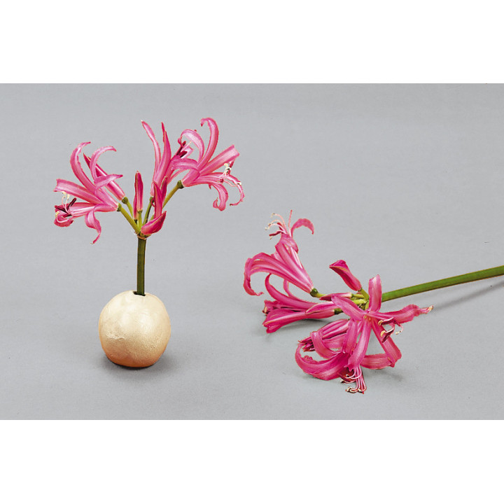 Kaiser K6388 - Adhesive Paste