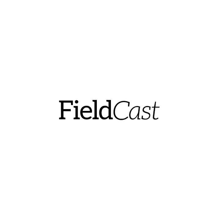 FieldCast co100 - Mux/Demux One 3G, 4 channel CWDM box