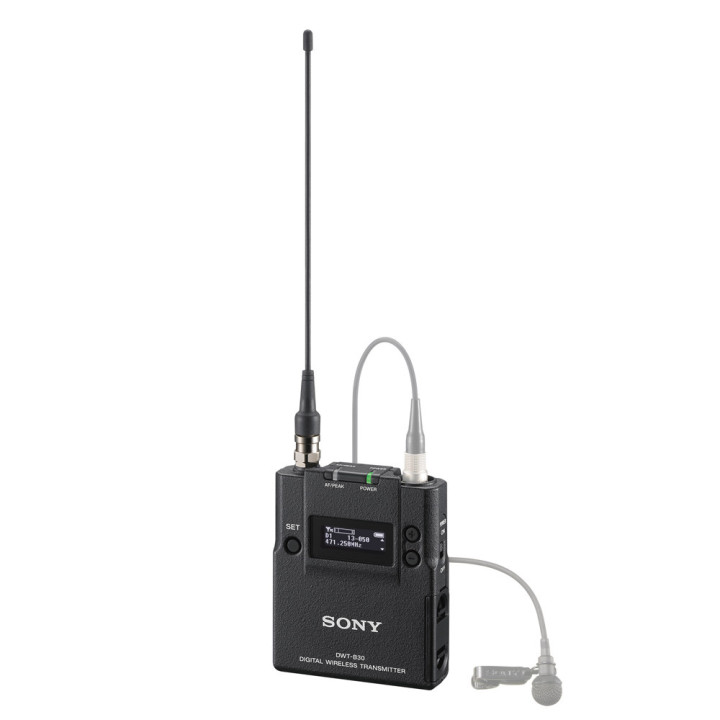 Sony DWT-B30/L - DWX Series Gen3 bodypack