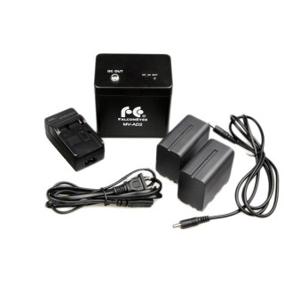 Falcon Eyes 290608 - Battery Pack MV-AD2 for DVR-620D/LP-DB1000U/SG-100