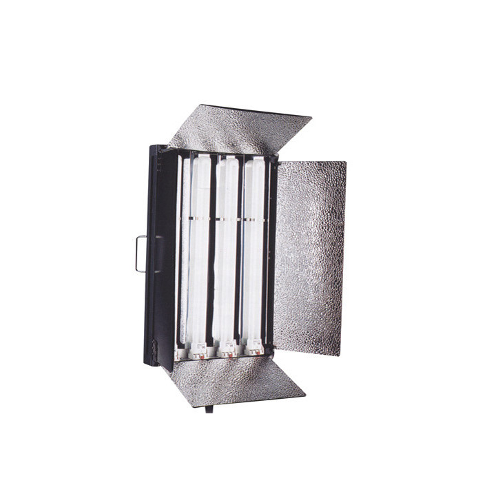 Falcon Eyes 291054 - Daylight Lamp DFL-554 4 x 55W