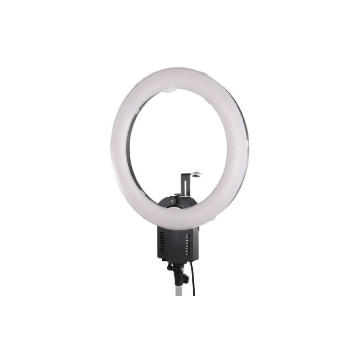 Falcon Eyes 2910671 - Spare Ring Lamp for FLC-65 65W