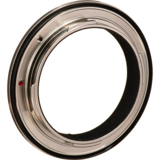 DZOFilm DZO-ACC2ML - Catta Zoom L Mount Bayonet