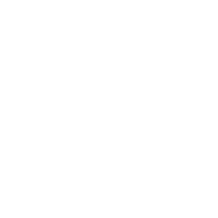 Wooden Camera