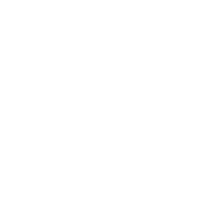 BirdDog
